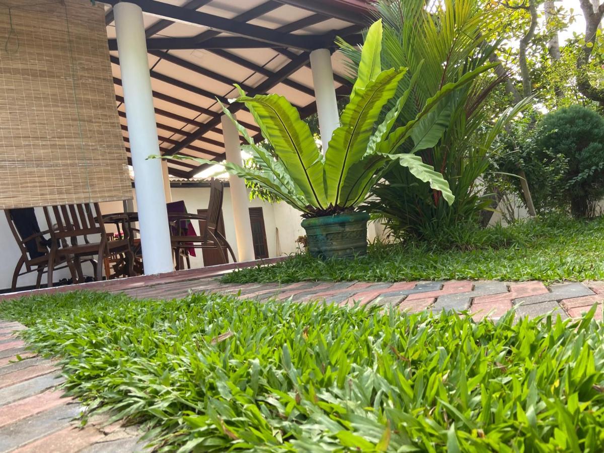 Mirissa Gold Rush Villa מראה חיצוני תמונה